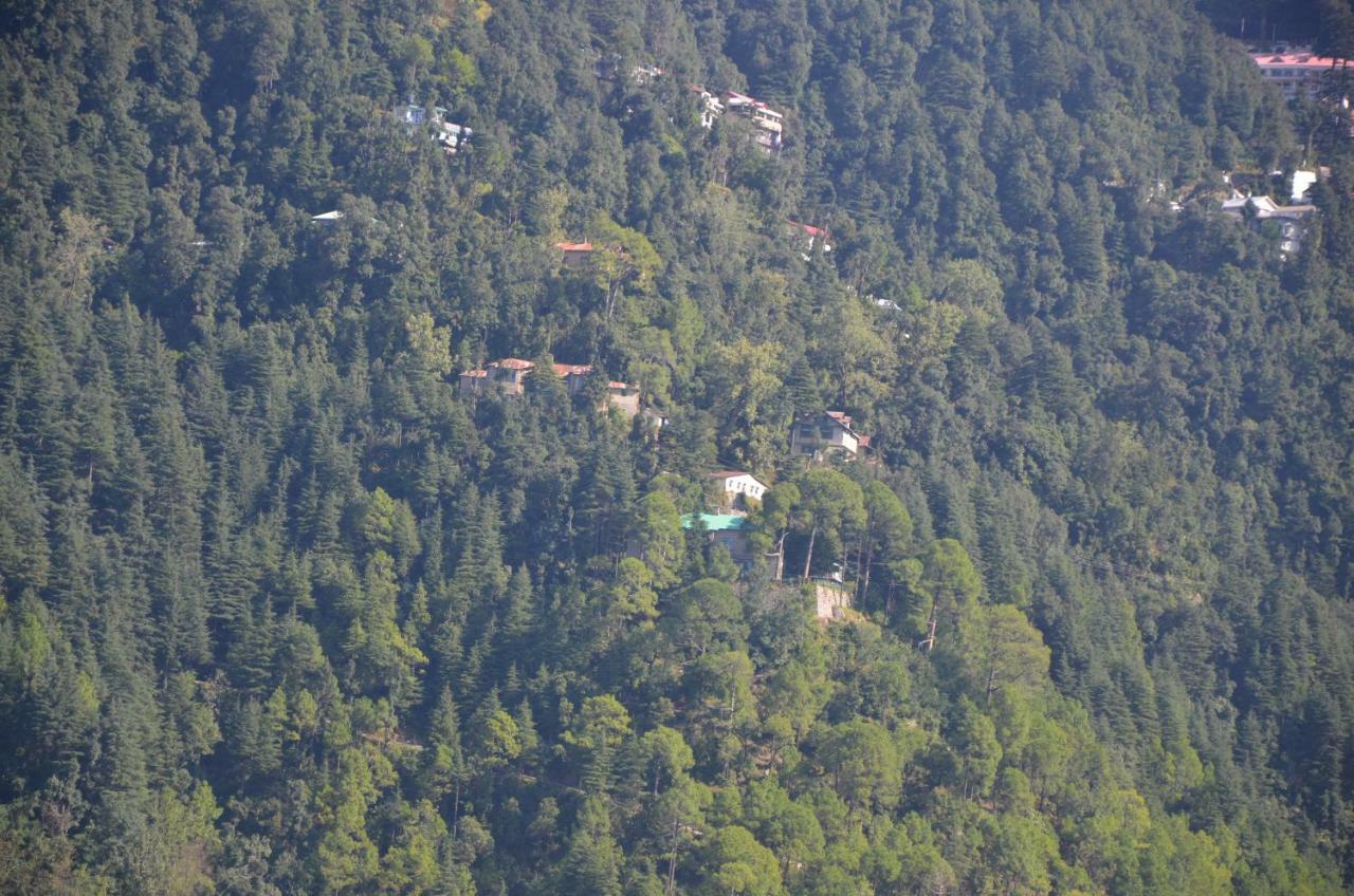 Peaceful Retreat Home Stay, Dalhousie Εξωτερικό φωτογραφία